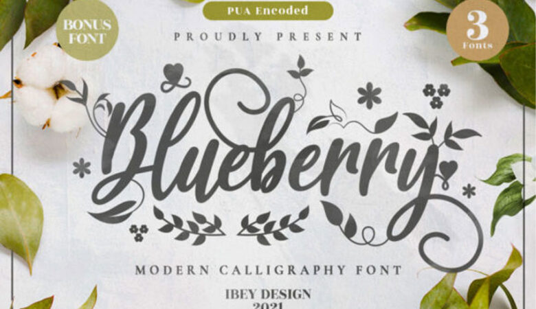 Blueberry Font