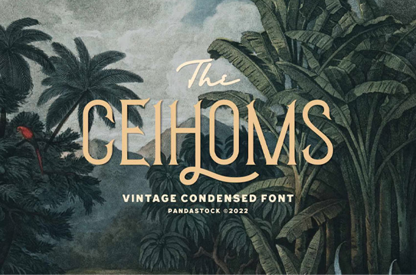Ceihoms Condensed Font