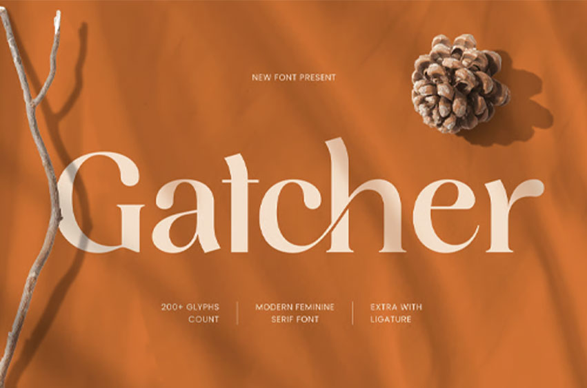 Gatcher Font
