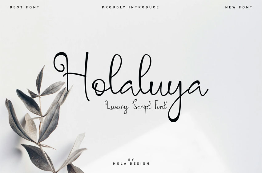 Holaluya Font