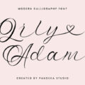 Lily Adam Font