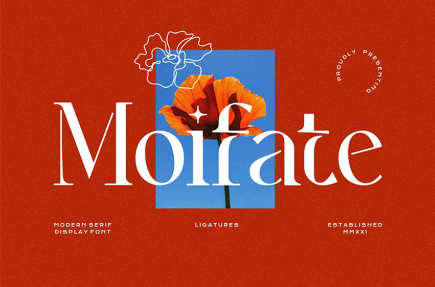 Moifate Font