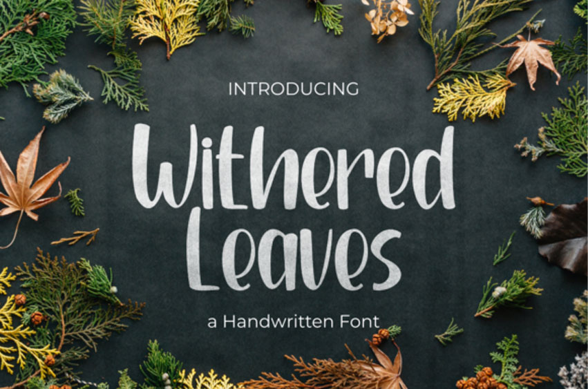 Withered Leaves Font