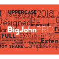Big John Pro Font