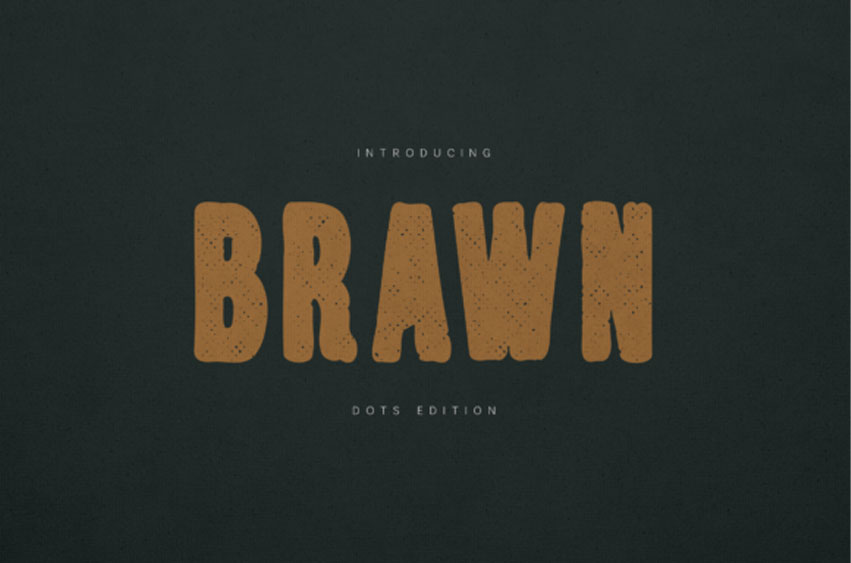 Brawn Dots Edition Font