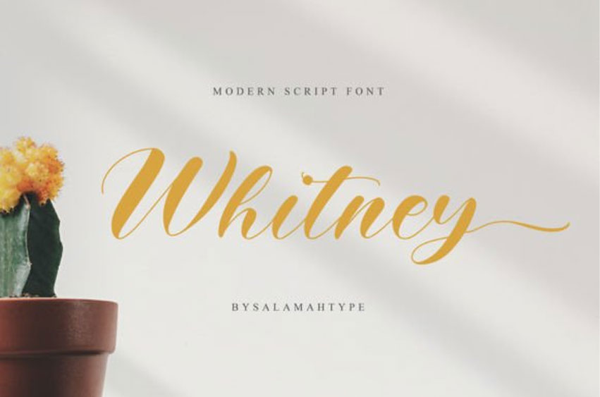 Whitney Font