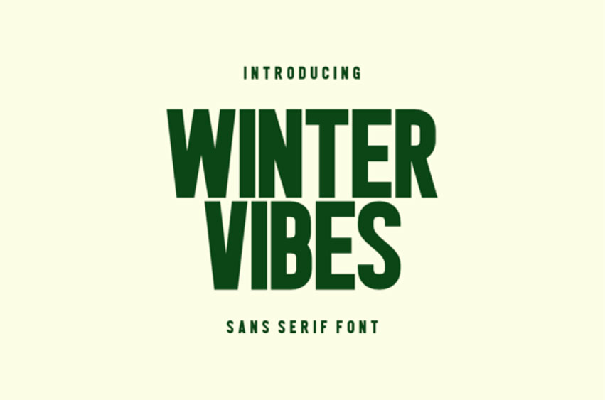 Winter Vibes Font