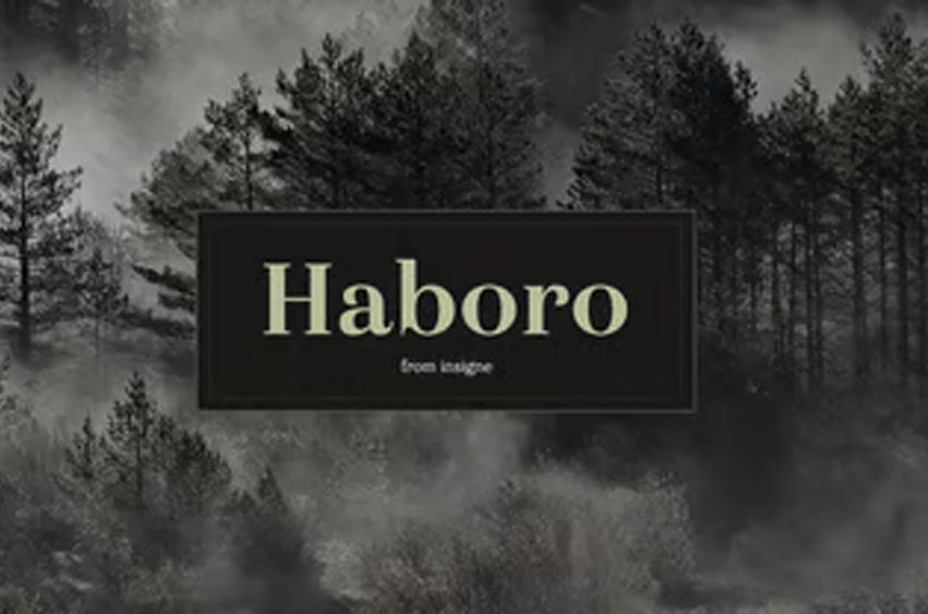 Haboro Font