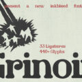 Grinoir Font