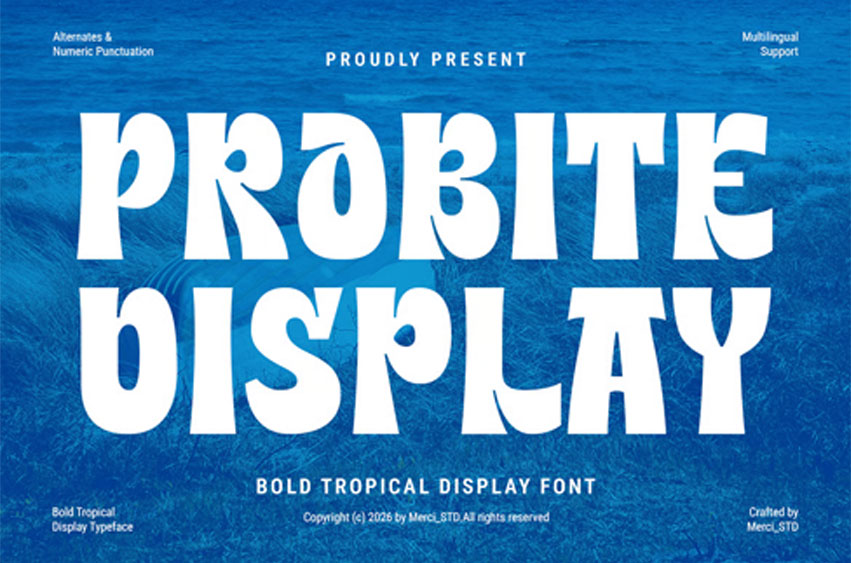 Probite Font