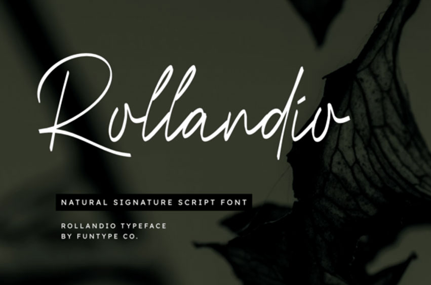 Rollandio Font