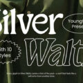 Silver Waltz Font