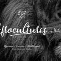 Afrocultures Font