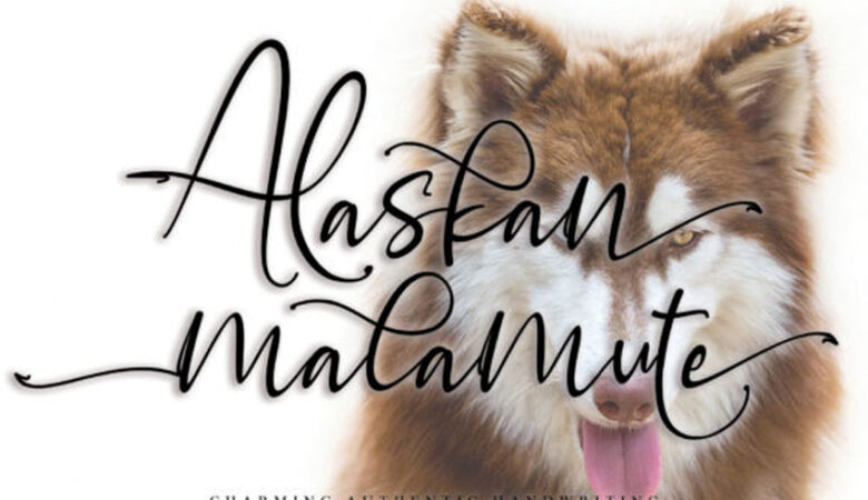 Alaskan Malamute Font