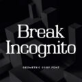 Break Incognito Font