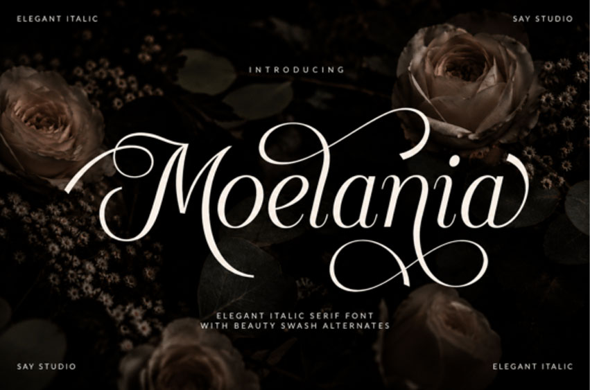 Moelania Font