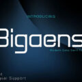 Bigaens Font