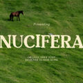 Nucifera Font