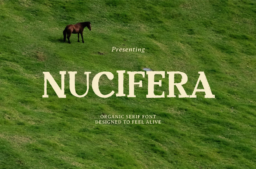 Nucifera Font