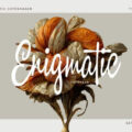Enigmatic Copenhagen Font