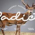 Padict Font