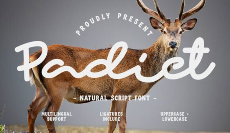 Padict Font