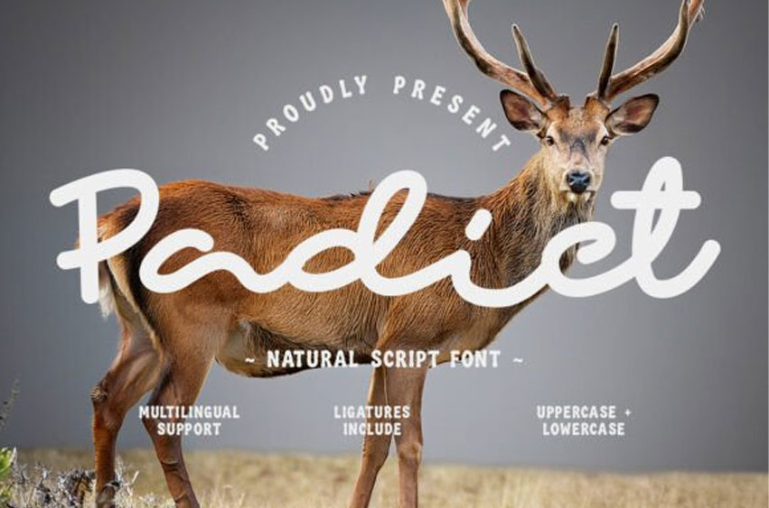 Padict Font